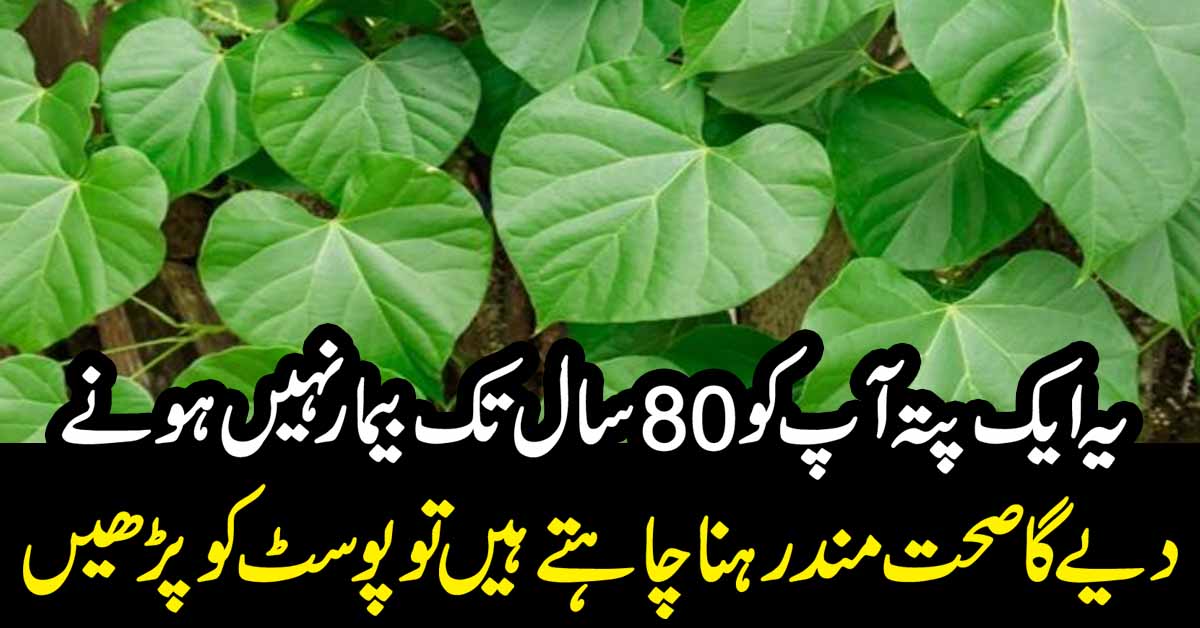 80سال تک بیمار