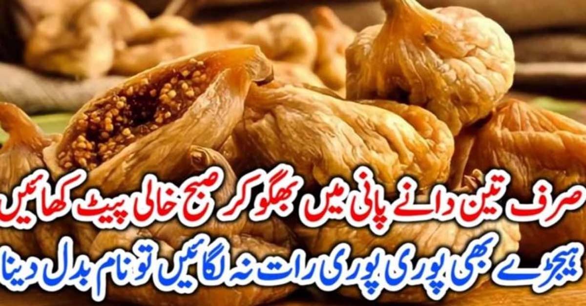 فضیلت